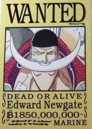 新白胡子最新爆料,神秘力量觉醒，海洋霸主再起风云